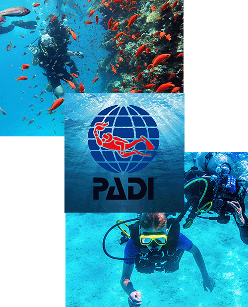 PADI specialty courses Night Diver MurakaBay Maldives - Murakabay