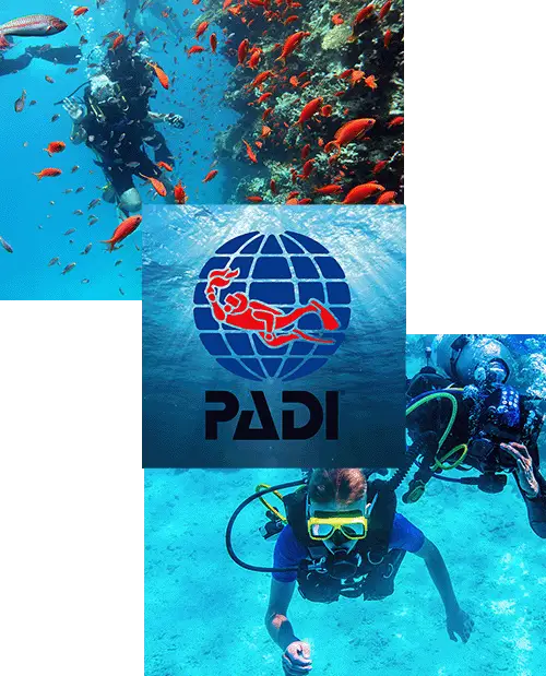 Murakabay Maldives Ukulhas - PADI diving courses and specialtys