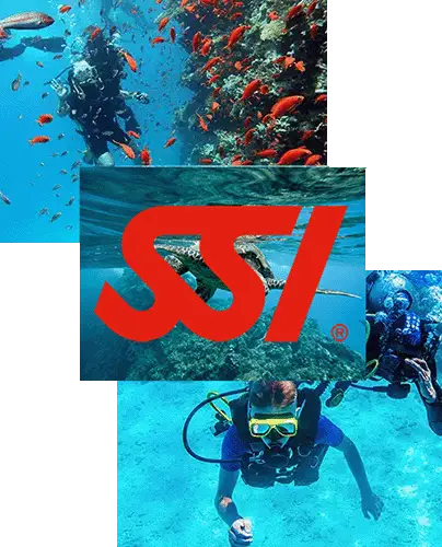 Murakabay-Maldives-Ukulhas-SSI-Pro-diving-courses-and-specialtys